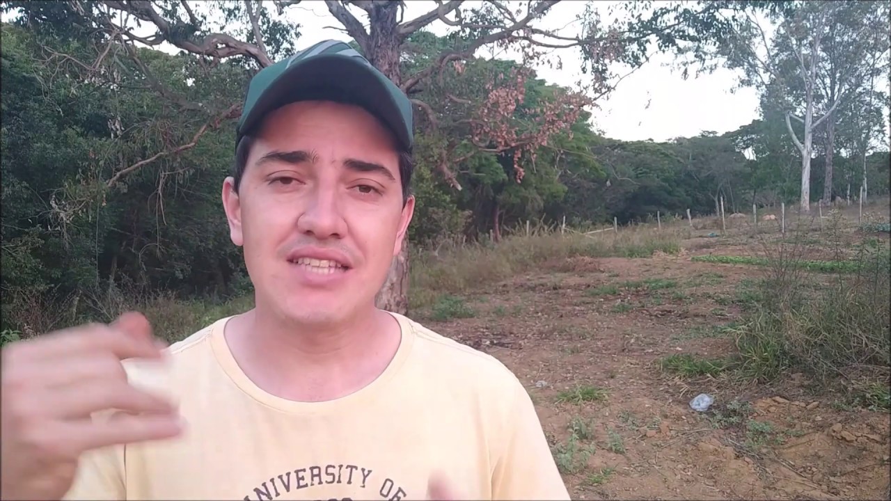 DE VOLTA AO CANAL - Daniel Baroni
