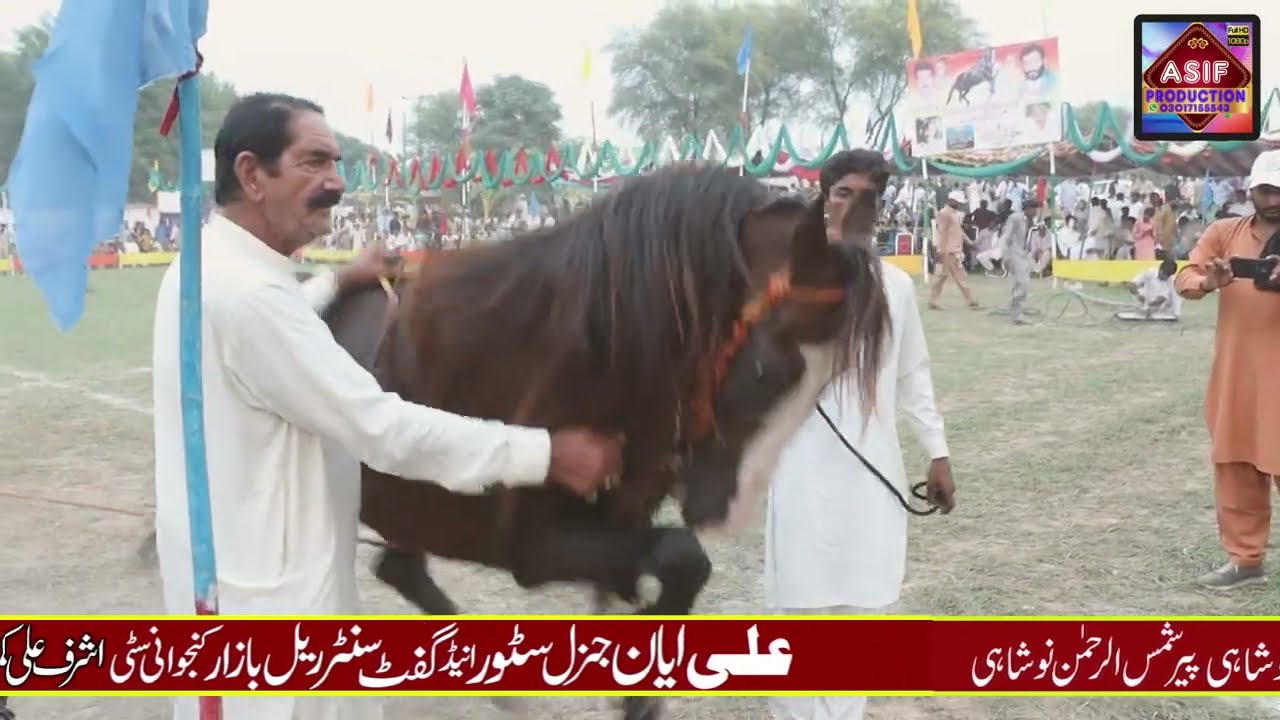 New Horse Dance Competition 2023 || Mela Peer Barkat Ali r.a Chak No 456 GB || Mela Kanjwani