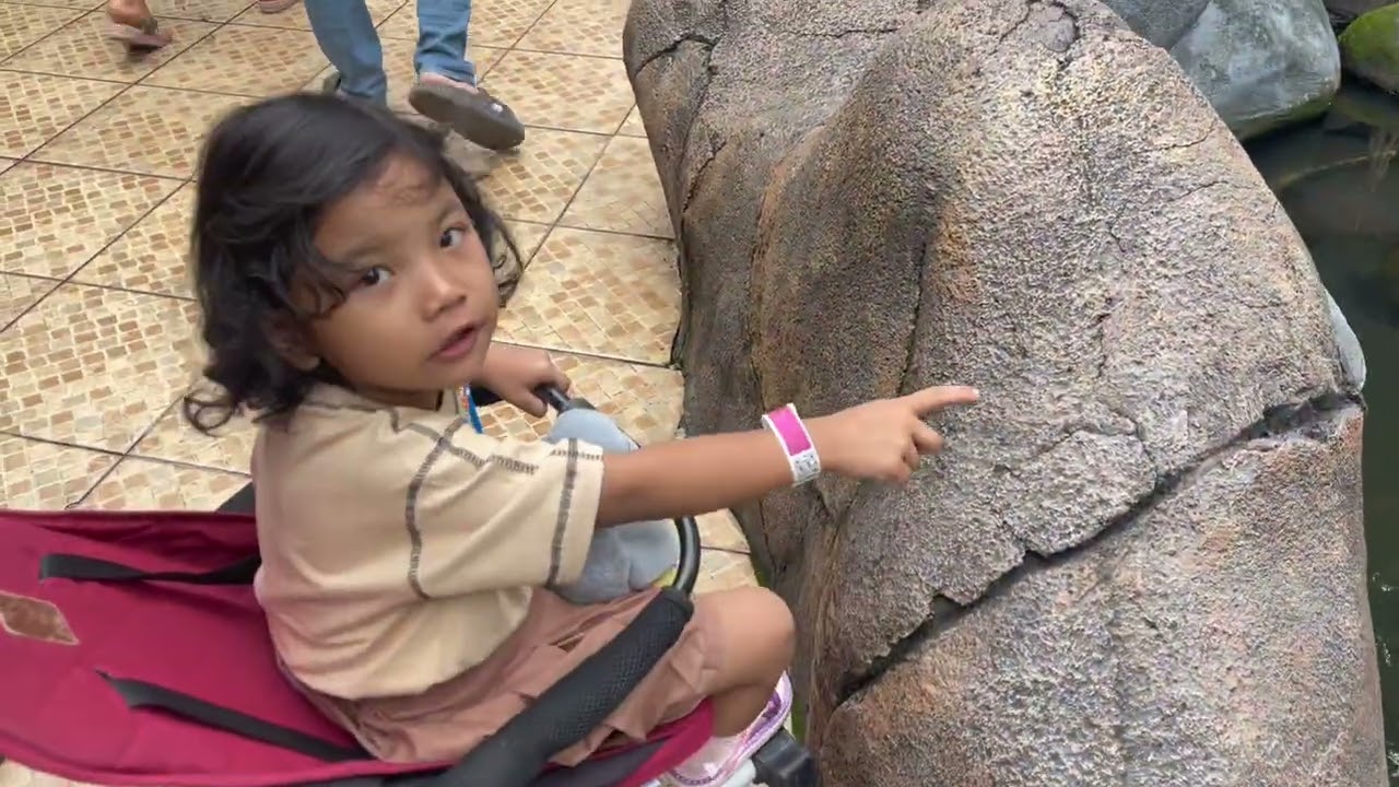 Mengenalkan Anak Macam2 Hewan di JATIM PARK 2 #vlog #edukasianak #malang #kotabatu 