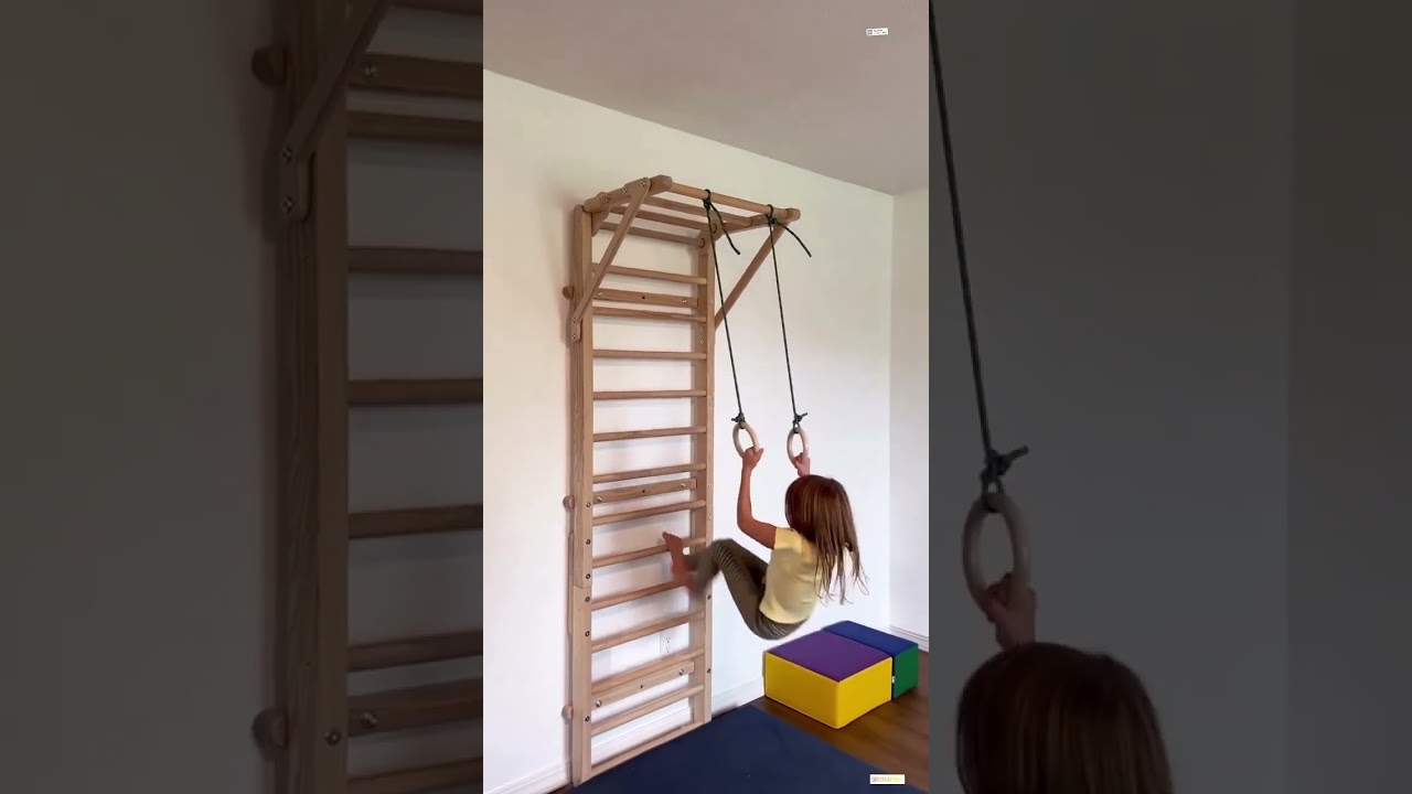 Gecko Swedish Climbing Wall