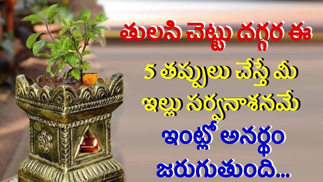 తులసి చెట్టు దగ్గర చెయ్యకూడని తప్పులు || Tulasi Pooja Yela cheyyali || Vastu Tips Tulasi Plant