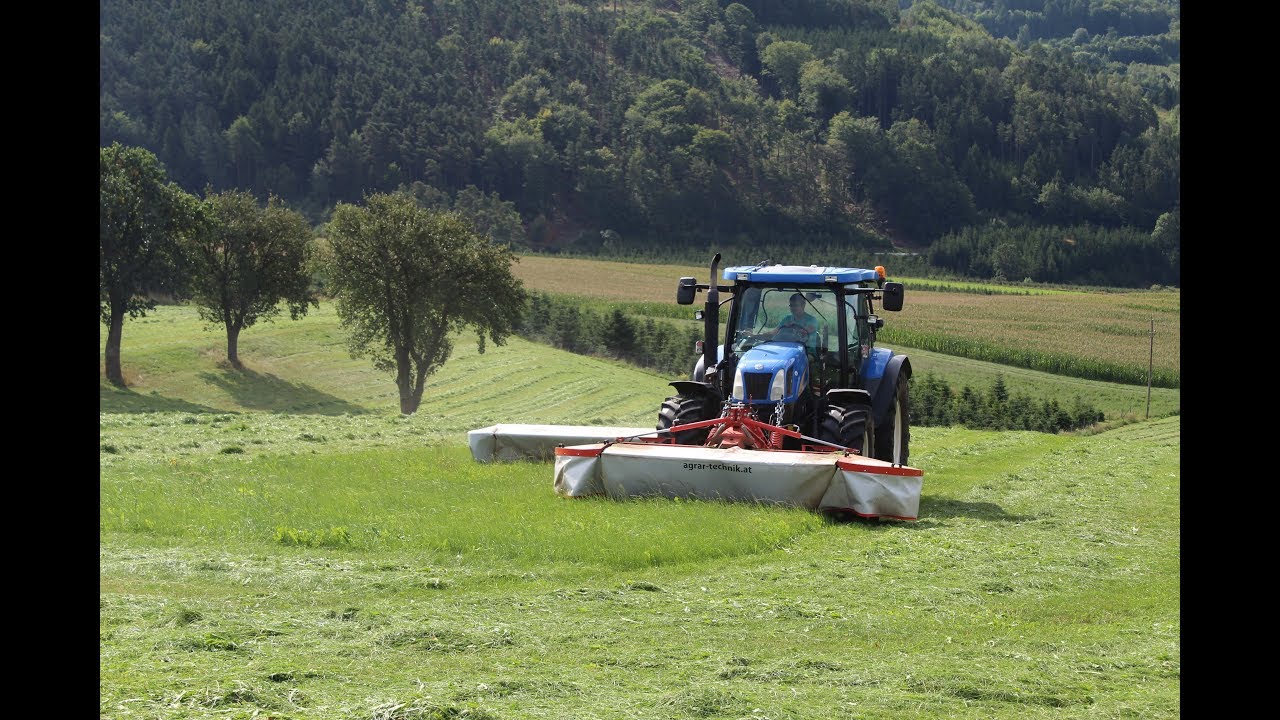 M&auml;hen 3. Schnitt 2019 | New Holland; Steyr; Valtra