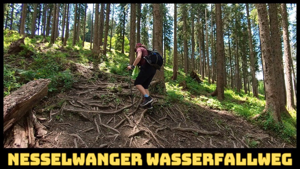 2. Tag meines Sommerurlaubes 2024 im Allgäu | Nesselwanger Wasserfallweg