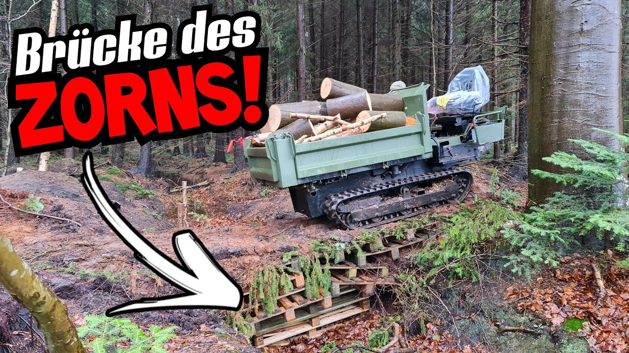 LEBENSGEFÄHRLICH oder MEISTERWERK? | HÄLT DIE BRÜCKE? | Brennholz machen mal anders | Yanmar C10R