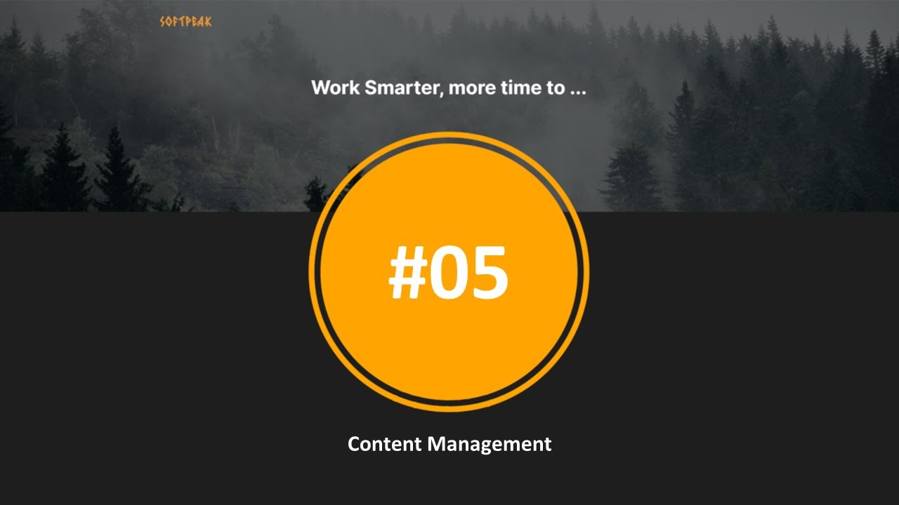 SoftPeak #5 - Content Management