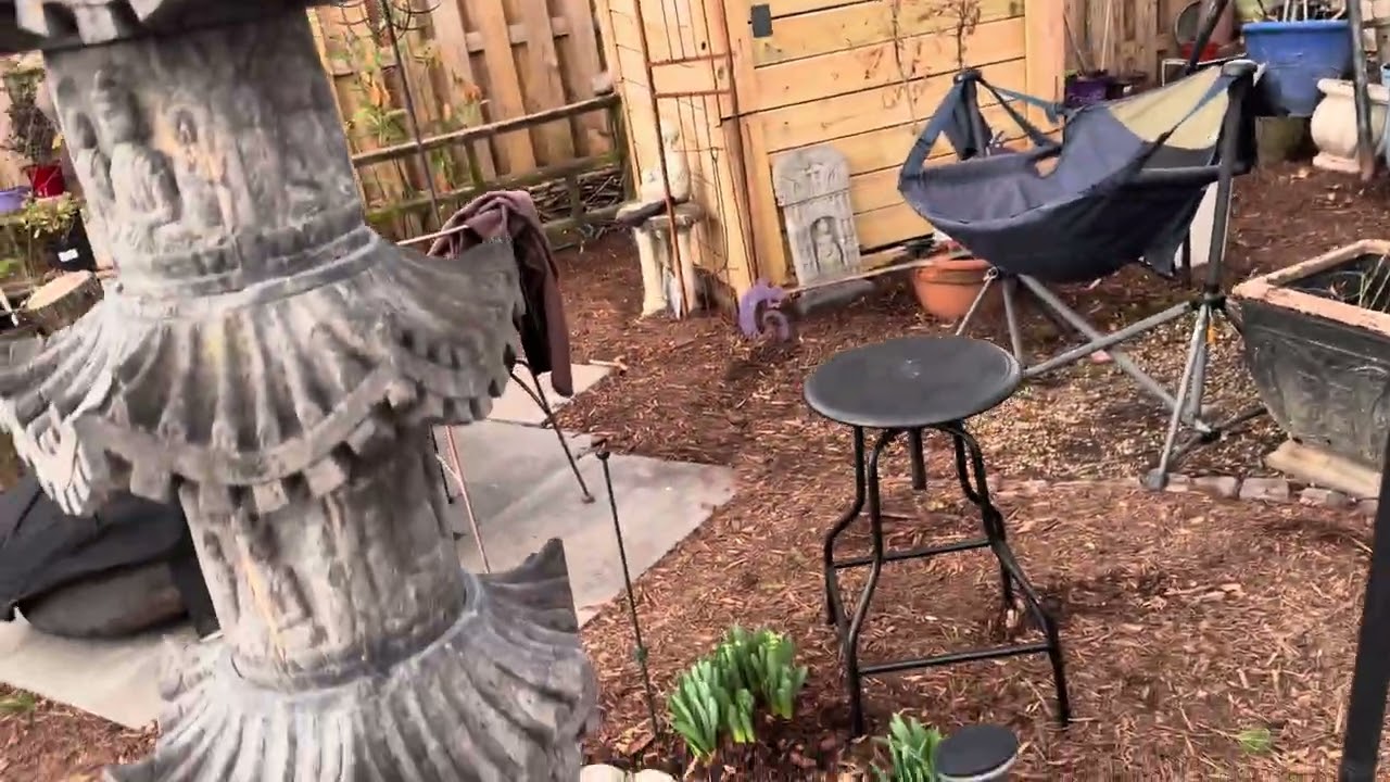 Japanese/Asian garden tour Spring 2026