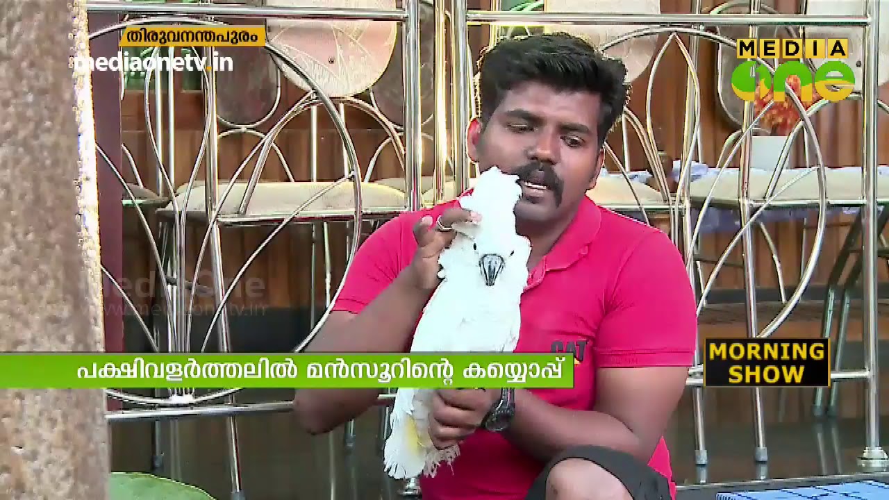 മന്‍സൂറിന്റെ പക്ഷി വളര്‍ത്തല്‍ വിശേഷങ്ങള്‍ കാണാം | KAYYOPPU