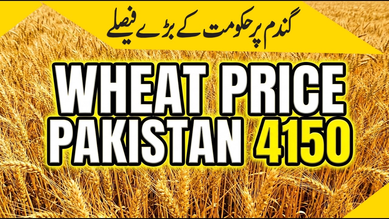 gandum ki qeemat 4150 kar di gai