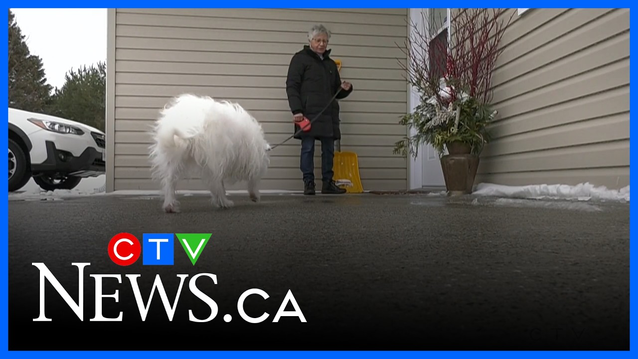 Dog hears cries for help, leads owner to save man who fell