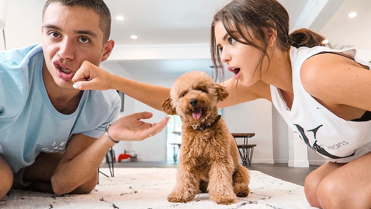 WHO DOES OUR DOG LOVE MORE