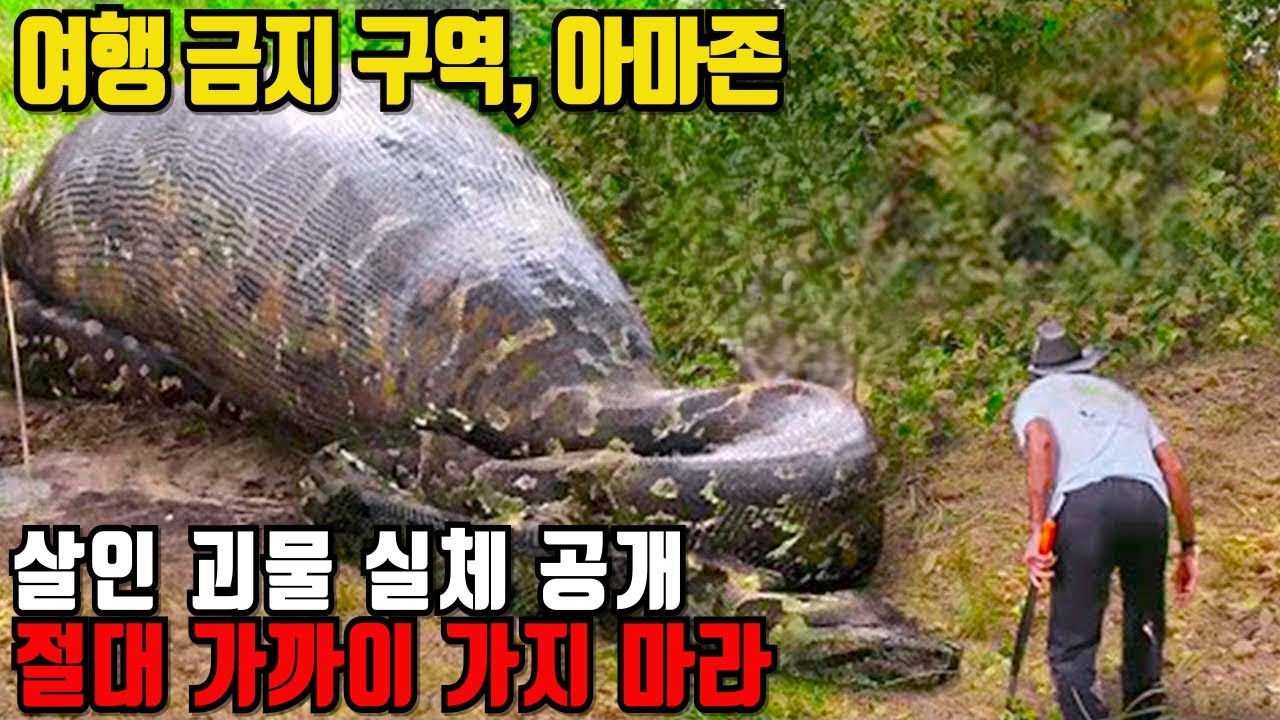 여행 금지 구역, 아마존의 살인 괴물 TOP20 실체 공개