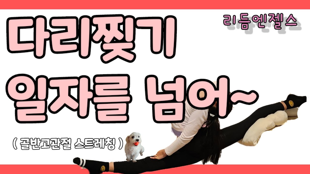 다리찢기 스트레칭 오버스트레칭을 위한 골반 스트레칭 연습법with 복