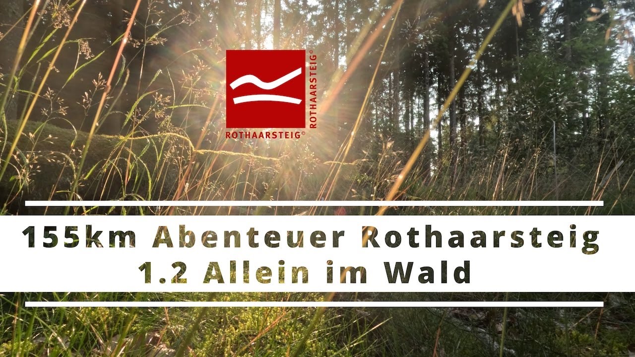 155 km Abenteuer Rothaarsteig 2025 - 1.2 Allein im Wald