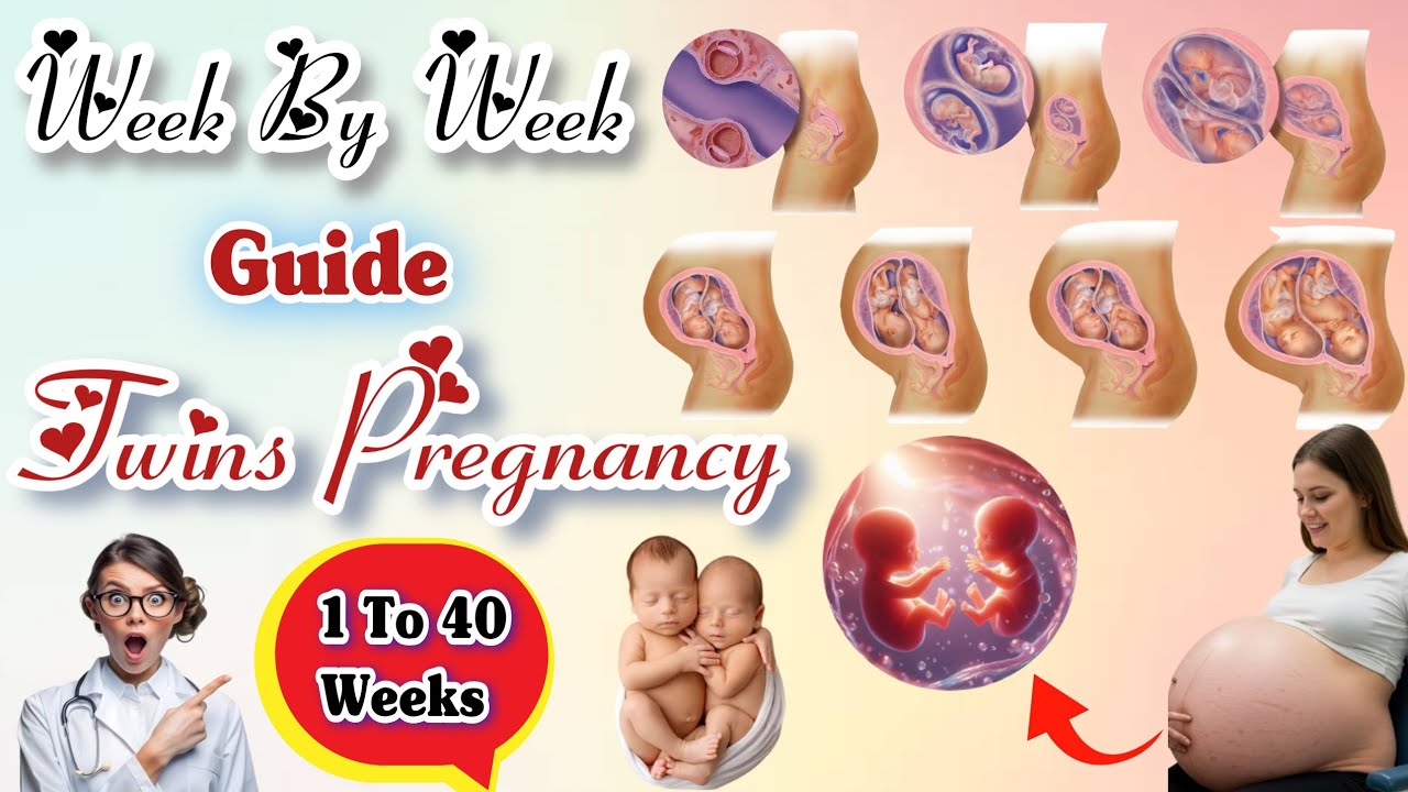 Twins Pregnancy Week by Week | #twins #pregnancy