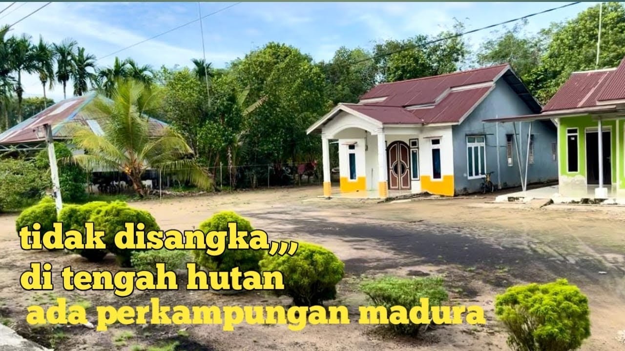Perkampungan terpencil warga madura kalimantan