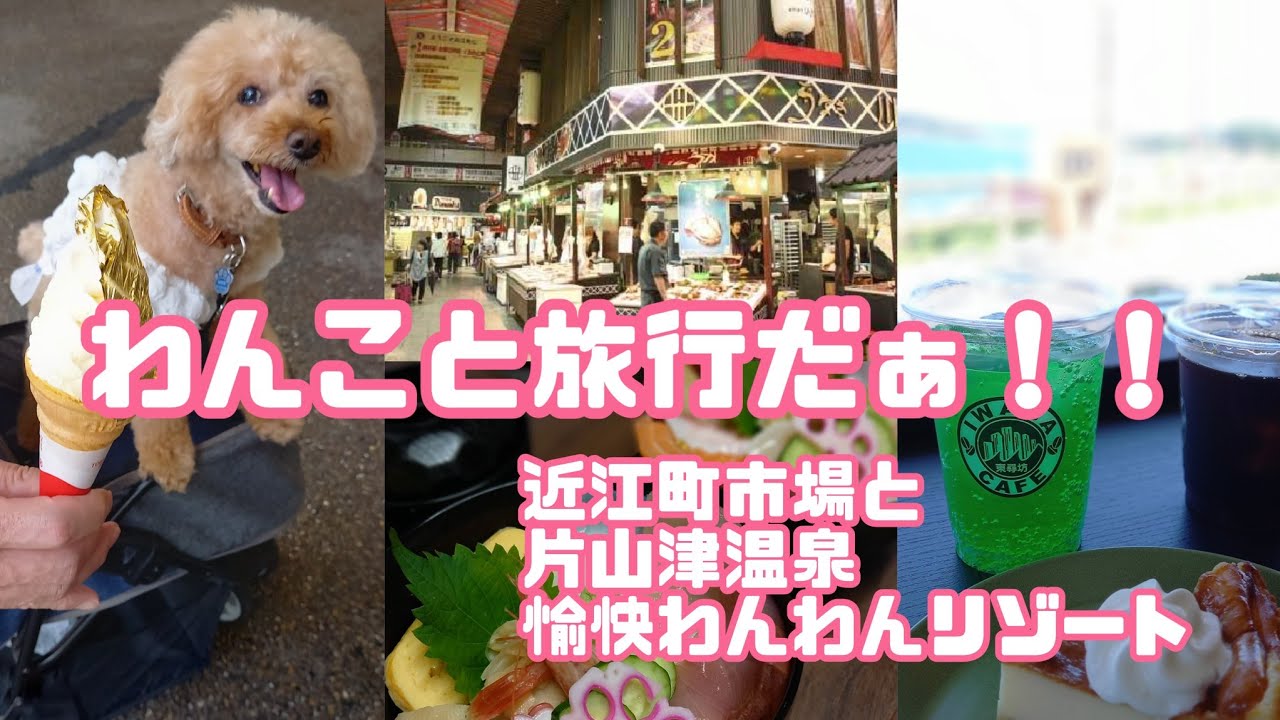 わんこと一緒に旅行！！片山津温泉愉快わんわんリゾート