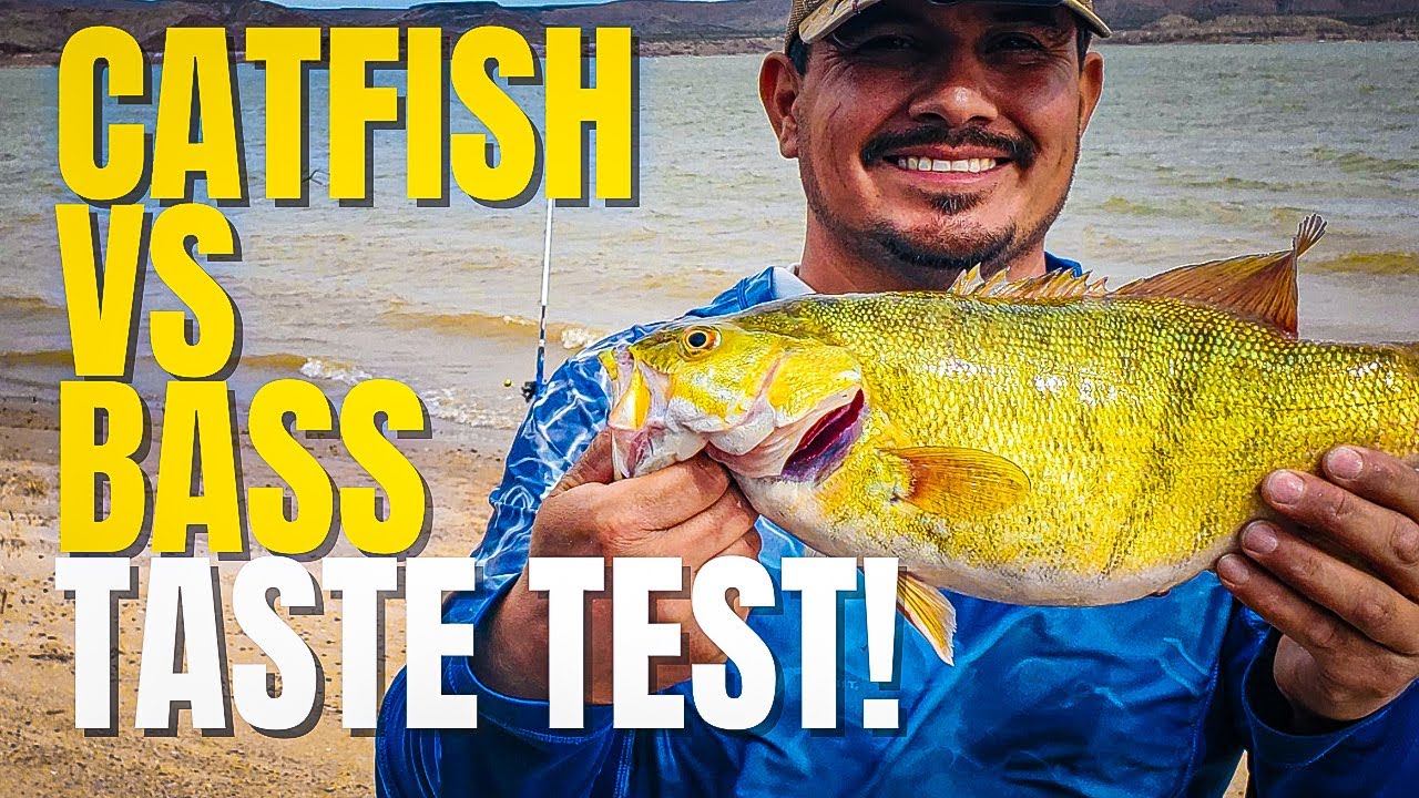 Elephant Butte Lake, New Mexico | Catch & Cook Adventure