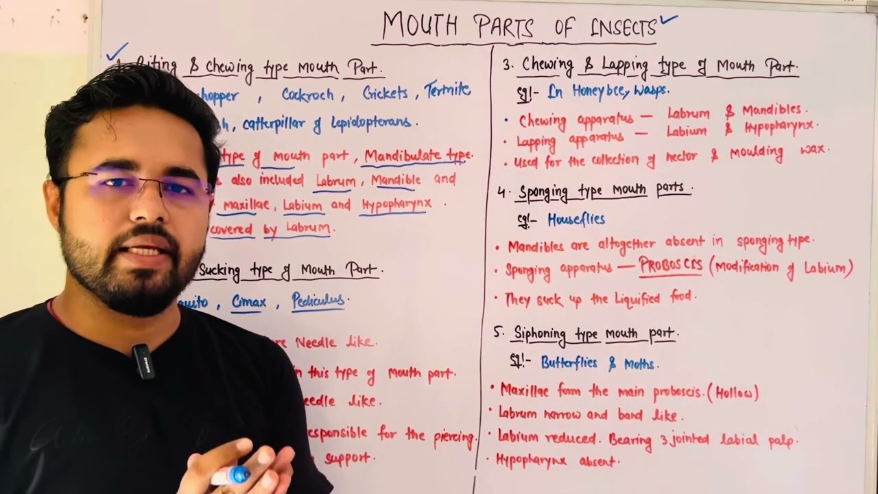 TOPIC - MOUTH PARTS OF INSECTS ( ARTHROPODA ) ✍🏻|| TGT / PGT BPSC AGRICULTURE &ACADEMIC EXAMS ||