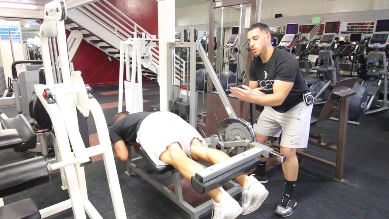 &diams;️ Leg Curl Machine | Sports Training in San Francisco Bay Area