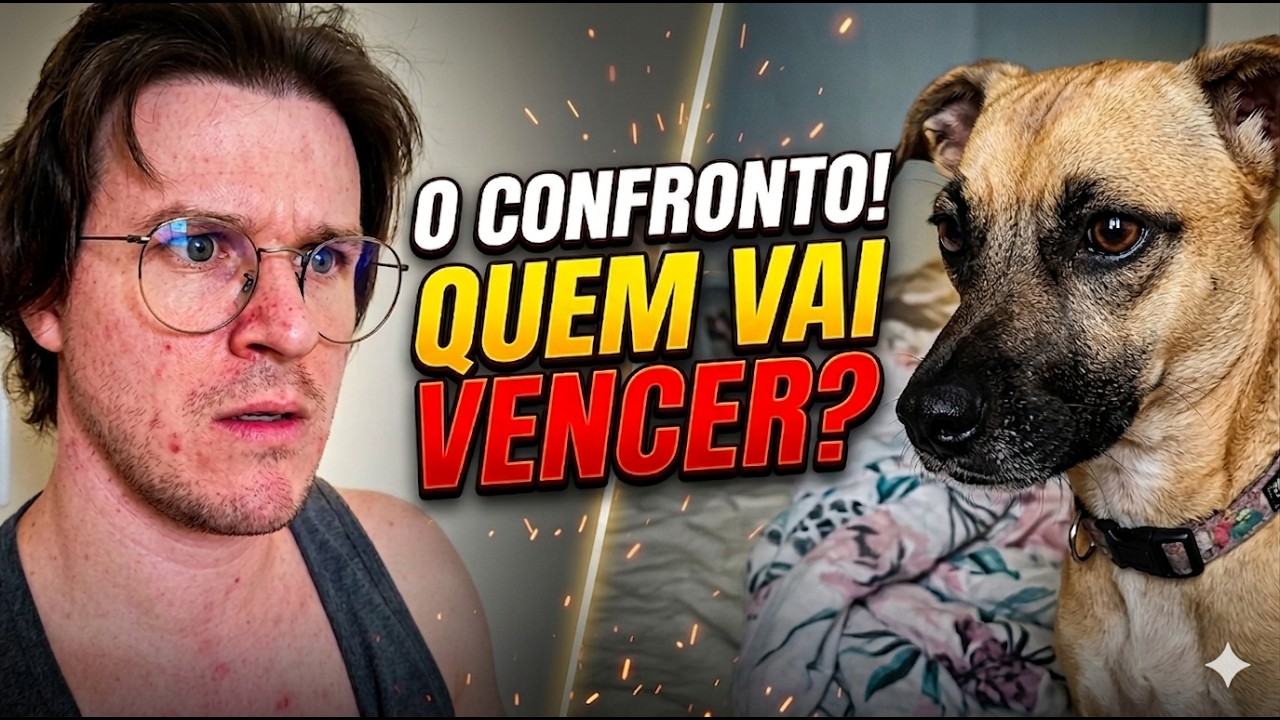 Desafiei meu cão e ele topou! 