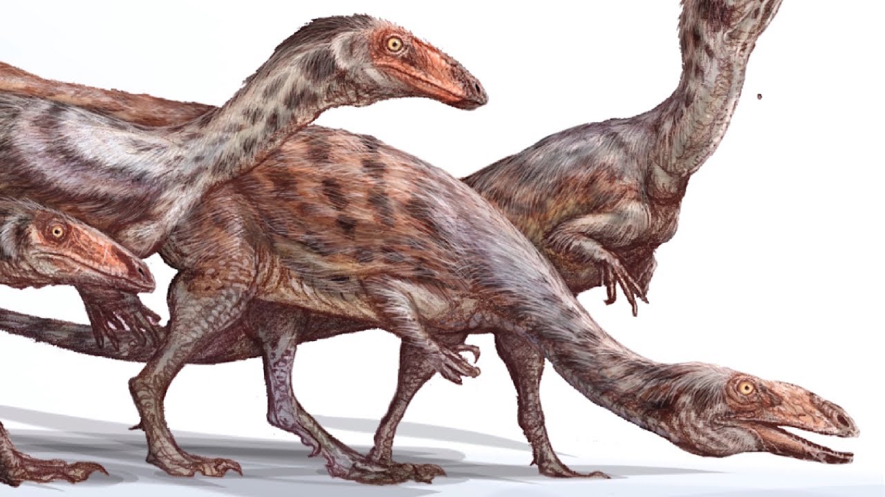 Coelophysis - The Triassic Icon