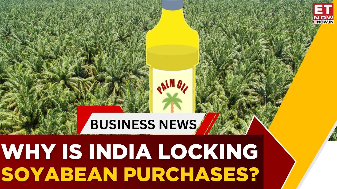 India Buys Enough Soyabean Oil: Palm Oil Prices To Rise Going Ahead? | Sandeep Bhan | Business News
