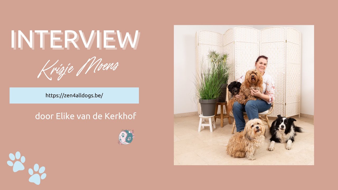 Interview Krisje Moens van Zen4alldogs