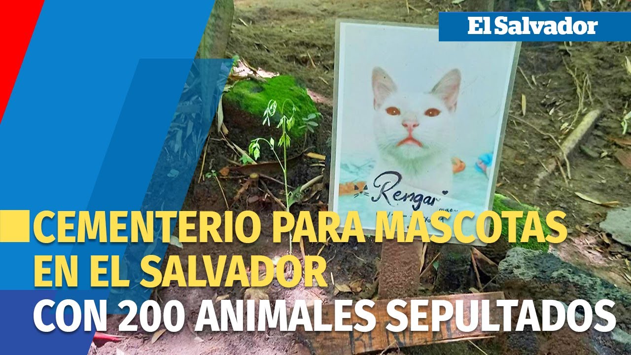Conoce el único cementerio para mascotas de El Salvador