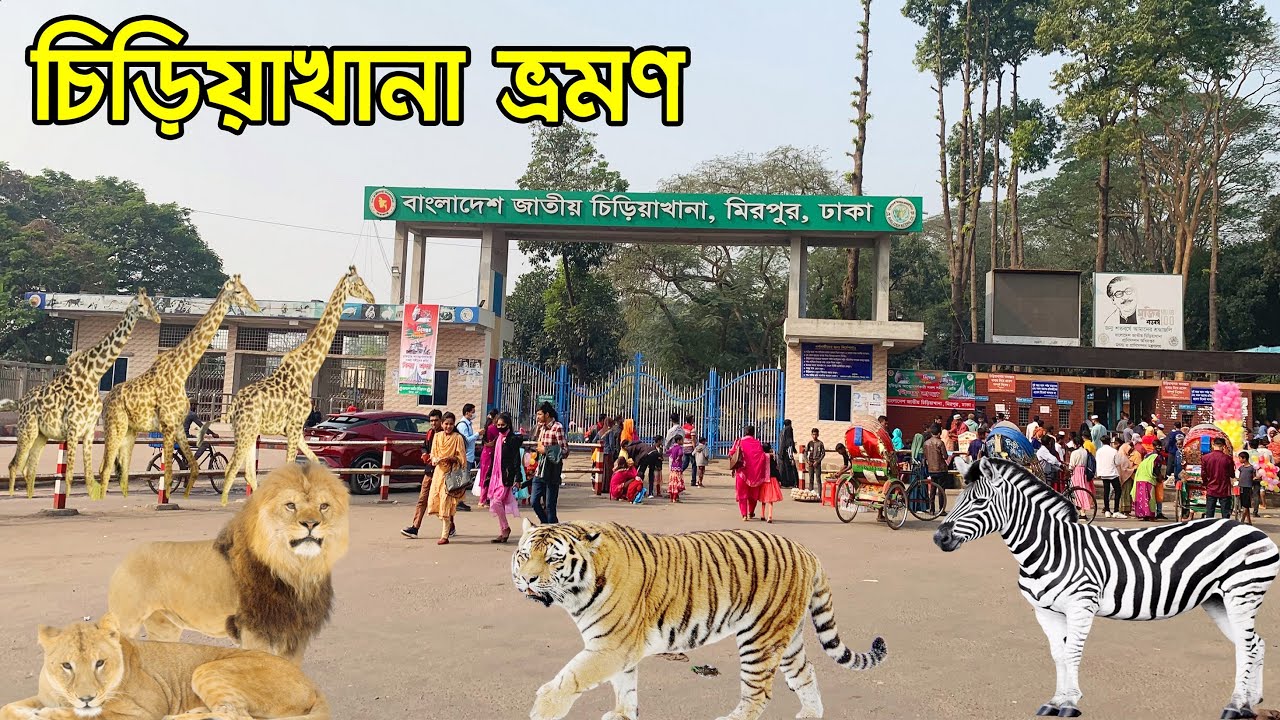 বাংলাদেশ জাতীয় চিড়িয়াখানা, মিরপুর, ঢাকা। Bangladesh National Zoo, Mirpur, Dhaka | Flying Bird |