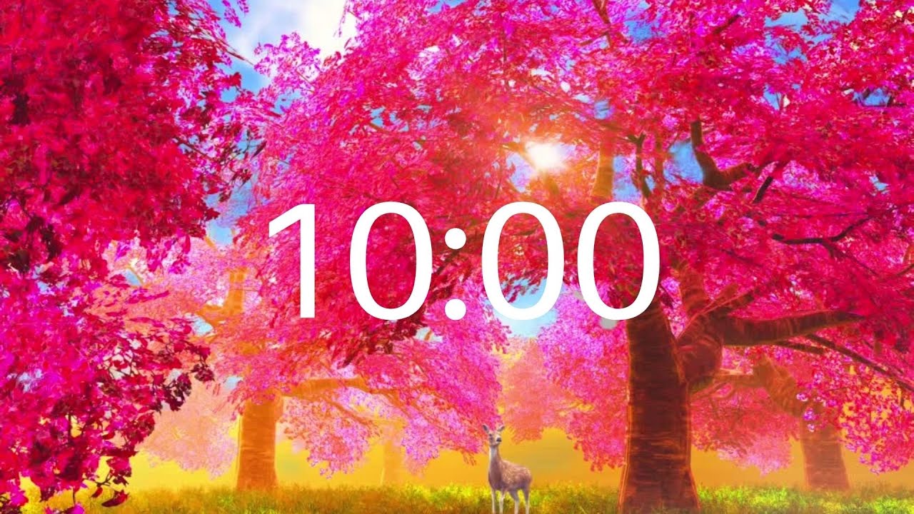 10 MINUTE TIMER | Countdown timer with Falling Cherry Blossom and Peaceful Guitar Music