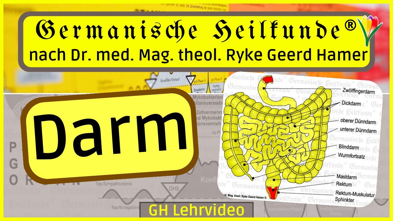 Darm ⎮ Lehrvideo ⎮ Germanische Heilkunde®