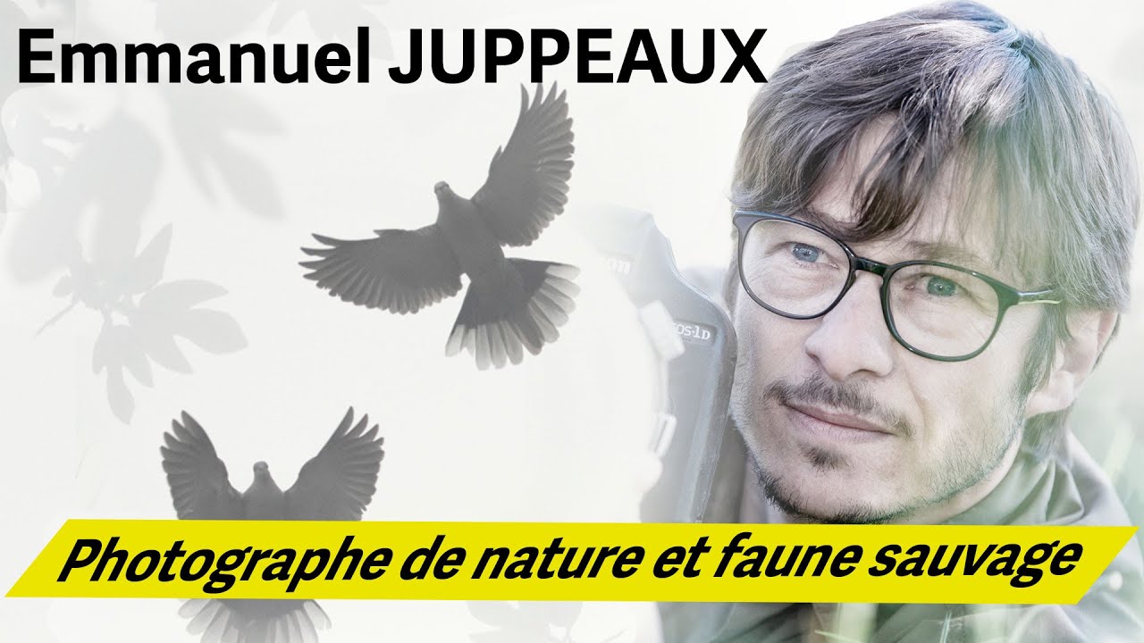 Interview d’Emmanuel Juppeaux : Exploration Poétique de la Photographie de Nature !