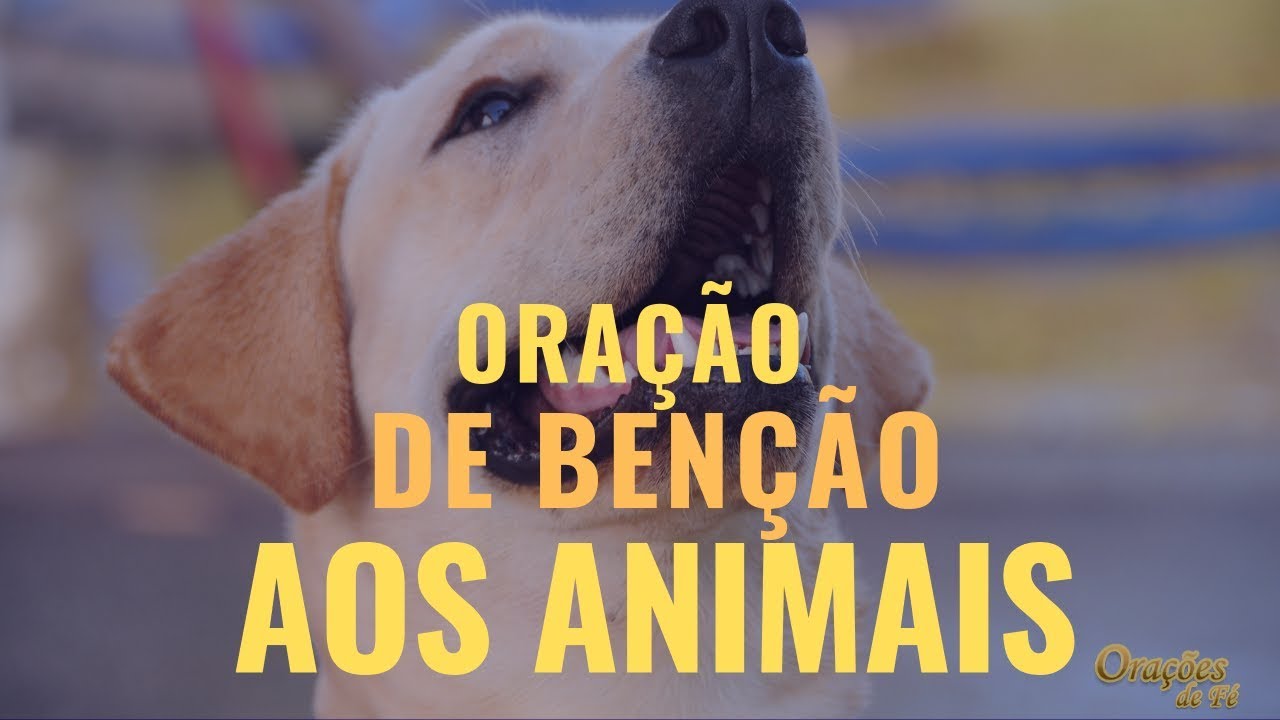 ORAÇÃO DE BENÇÃO AOS ANIMAIS