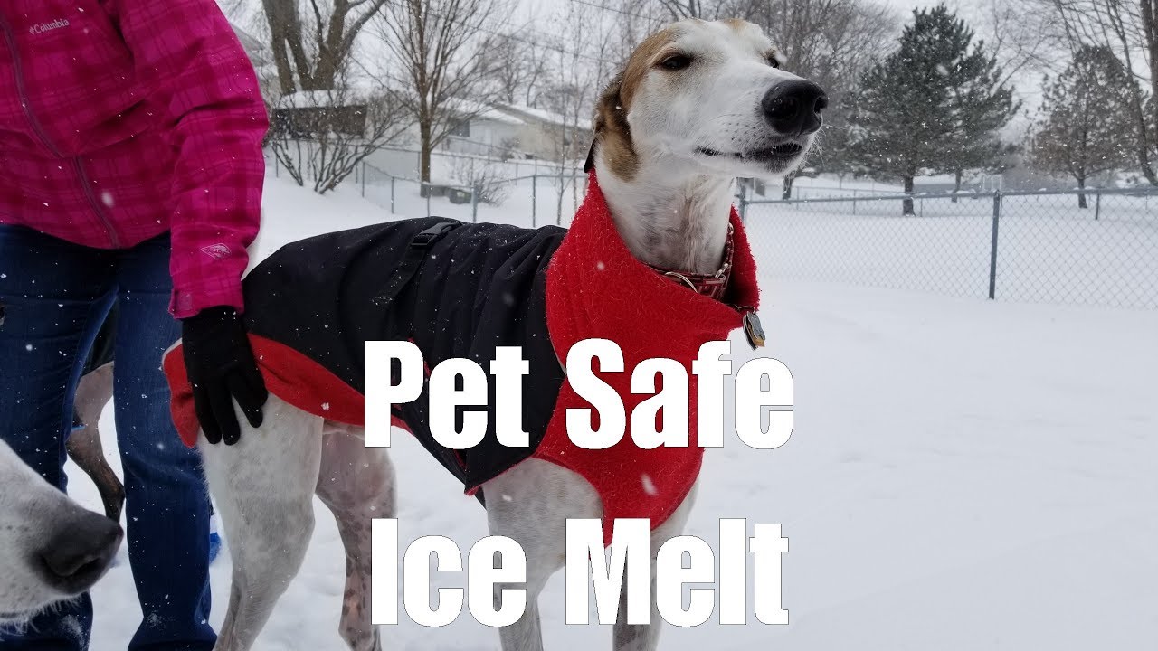 Pet Safe Ice Melt [3.02B]