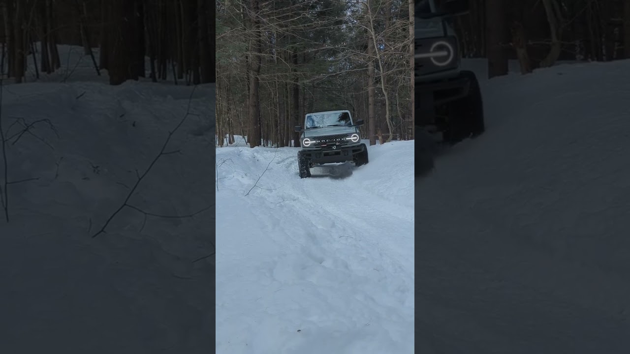 Bye Black Diamond, Hello Badlands Sasquatch !