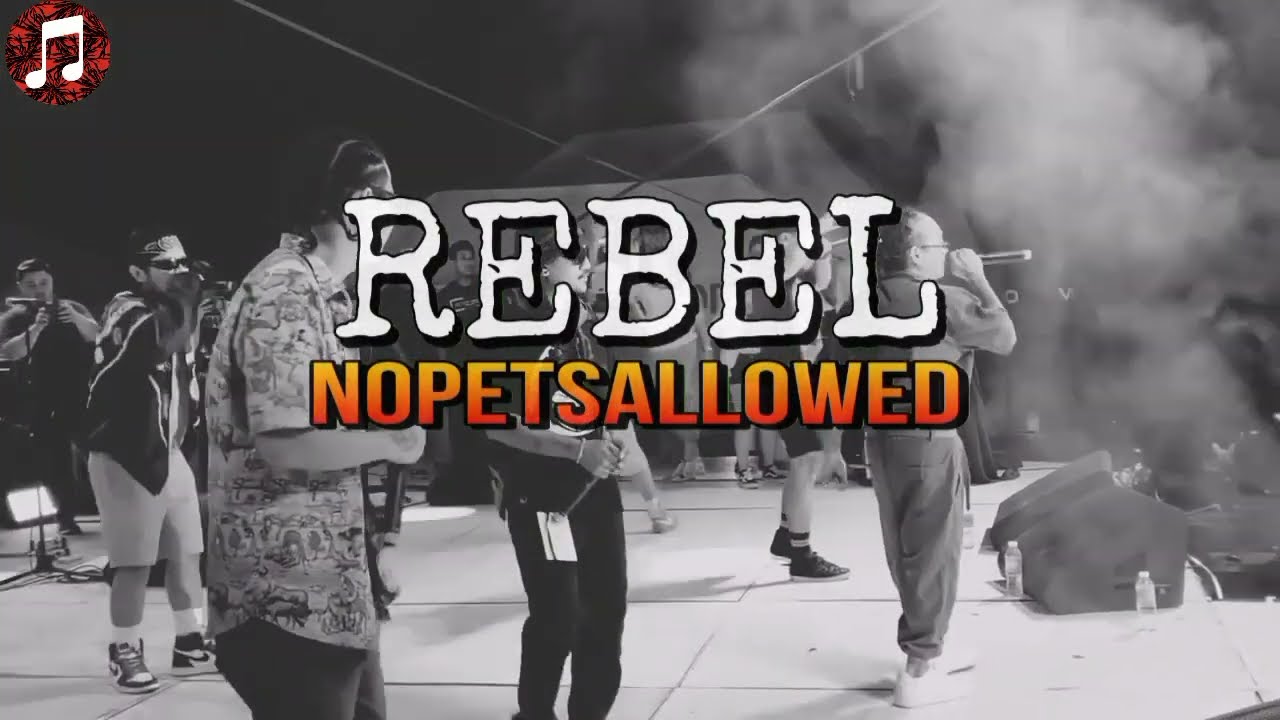 Rebel Nopetsallowed 