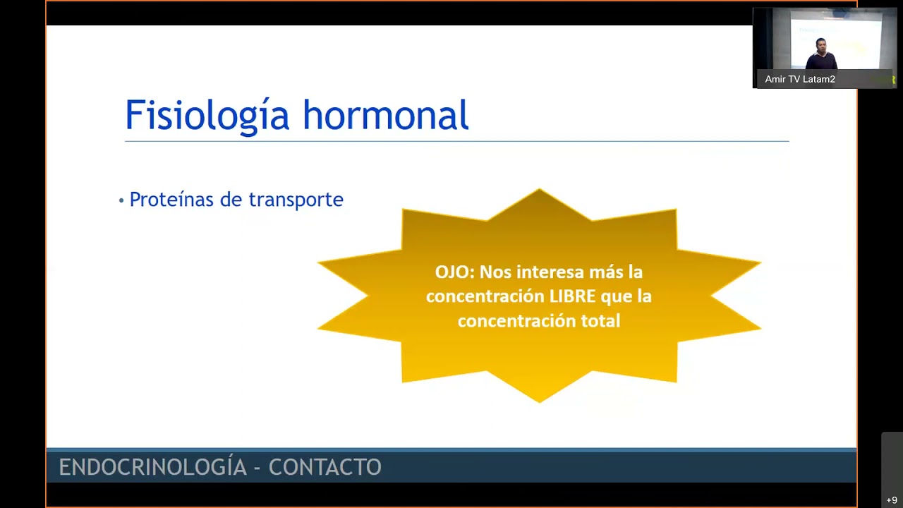 ENARM 2021 Endocrinolog&iacute;a REVISI&Oacute;N DE TEMAS