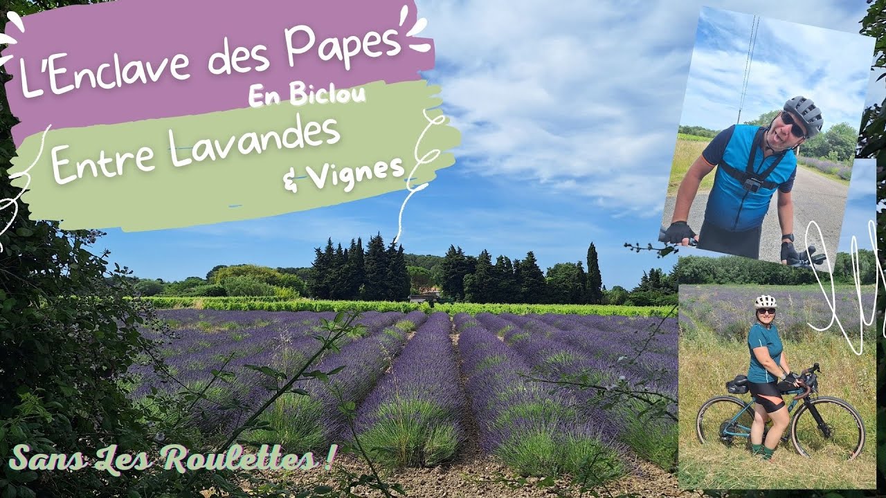 L'Enclave Des Papes dans le VAUCLUSE en Vélo: Au milieu des LAVANDES dans notre SUD!