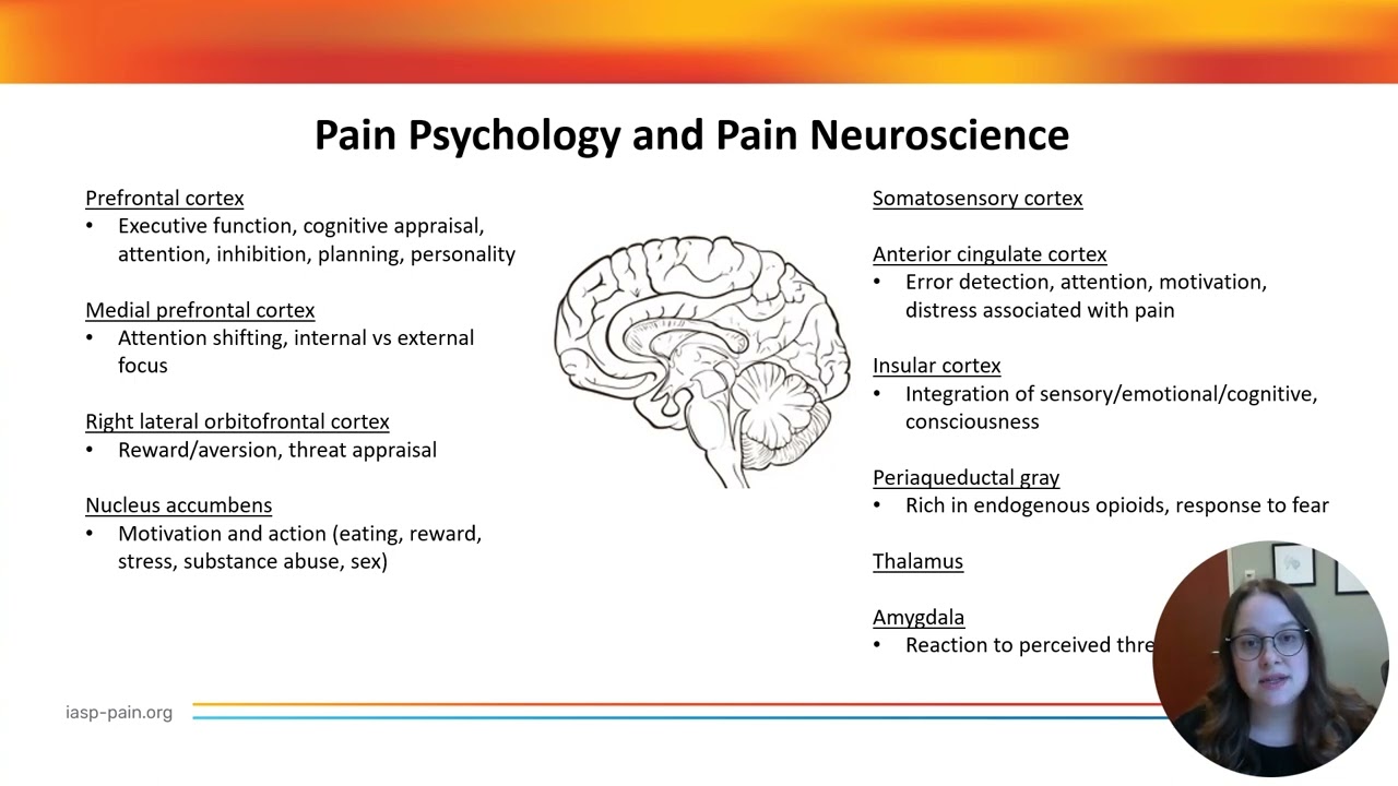 Pain Psychology and Pain Neuroscience: Part 1 - Kaitlin Touza