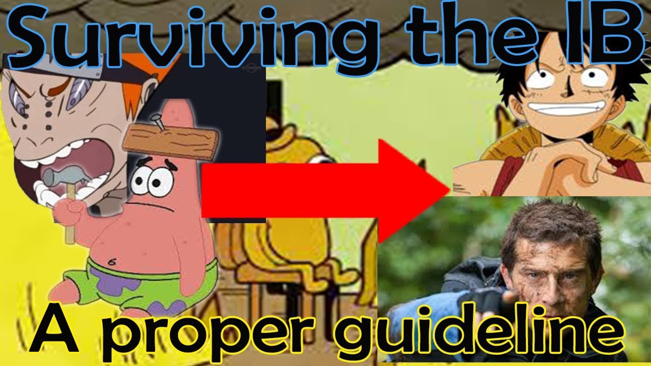 The IB Diploma Programme - How to Survive