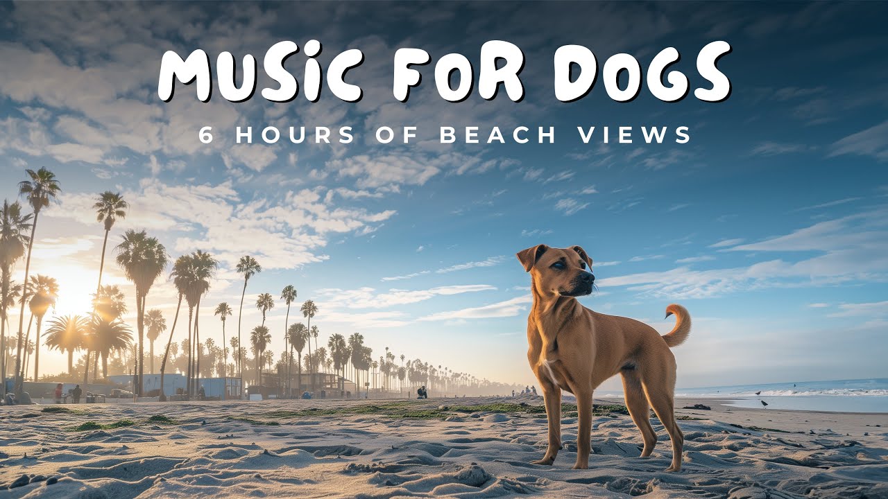 🏖️ 6 Hours of Uplifting Music for Dogs | 🌅 Beach Views & Joyful Tunes