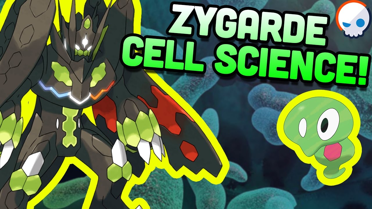 Pokemon Science: Zygarde's Cells! | Gnoggin