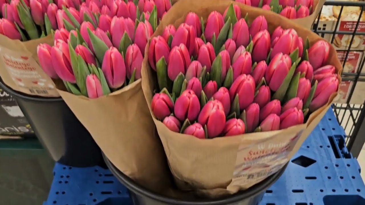 ЖИРНЫЙ ЧЕТВЕРГ! ПОНЧИКИ БЕСПЛАТНО! ЦВЕТЫ ПО ДОСТУПНЫМ ЦЕНАМ! ЧАЙ МАТЕ! ДЕГУСТАЦИЯ 
