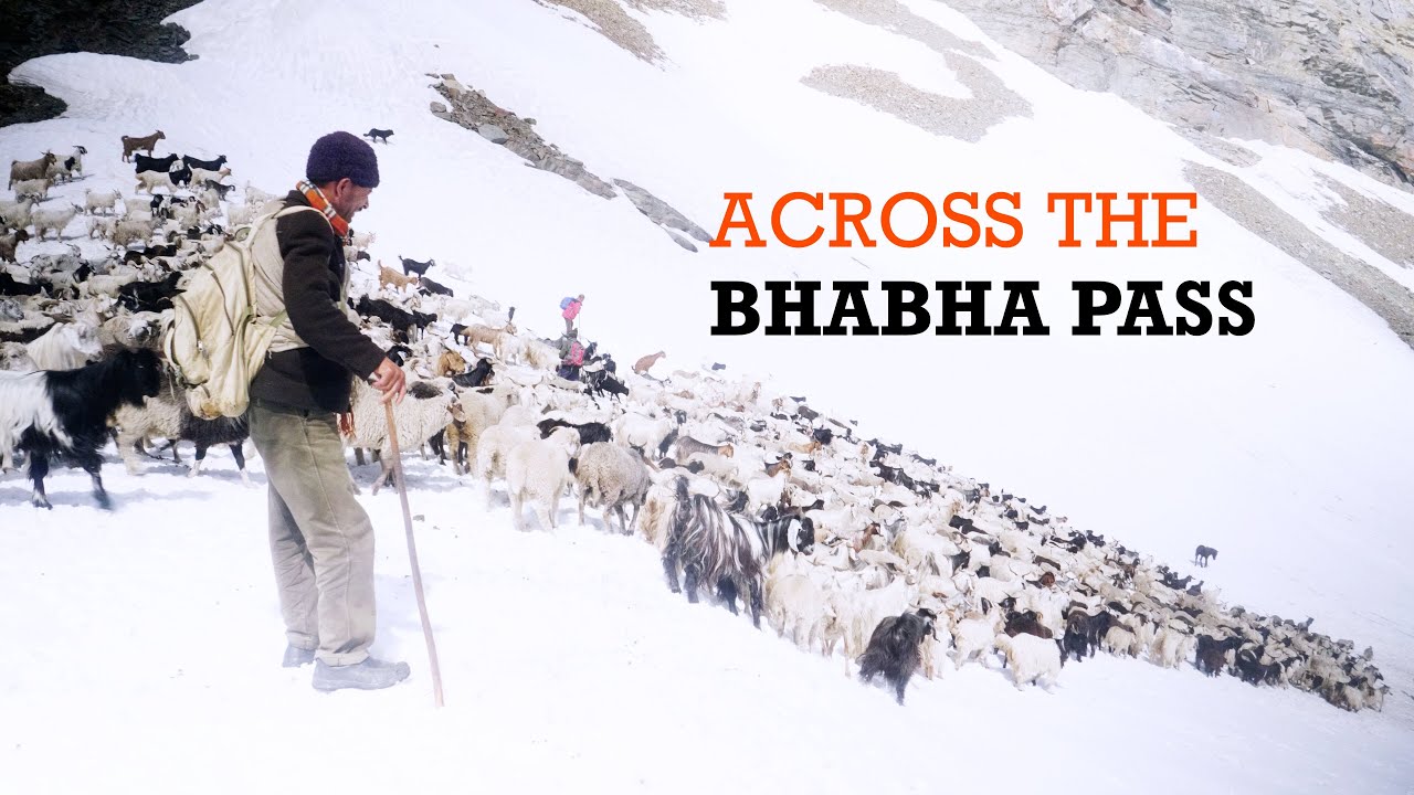 The making of  'A Shepherd's Journey' | Behind the Scenes