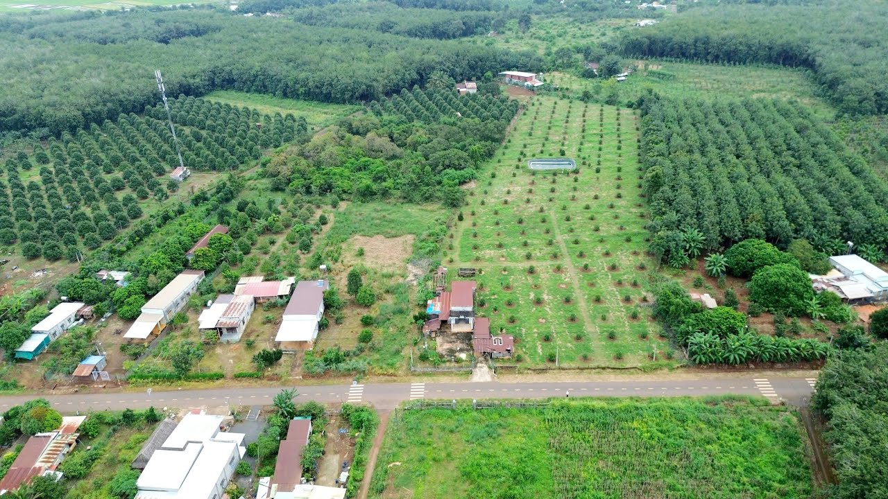Bán nhà vườn sầu riêng Thái, có 400m²thổ cư,  đường nhựa 2len, 67×198 ×244=S 14.400m², giá 4ty8 bs