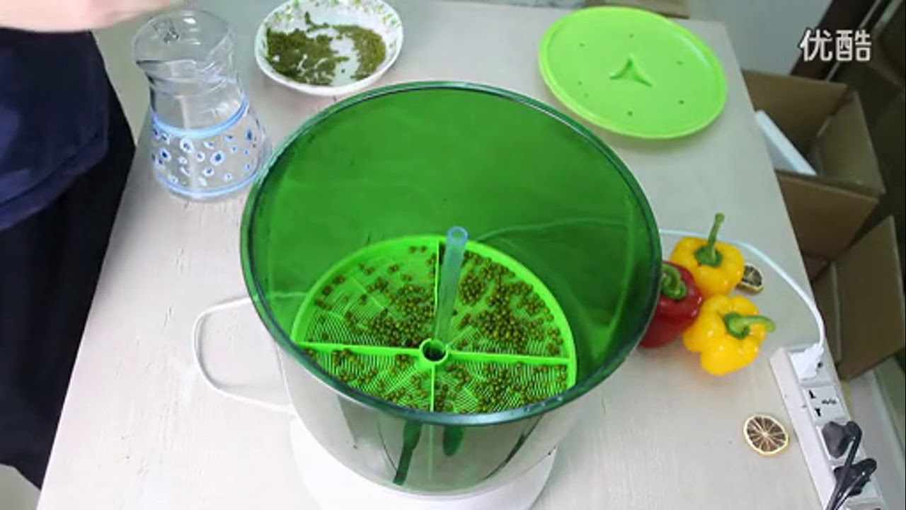 Estufa Germinativa - Germinación de Semillas.