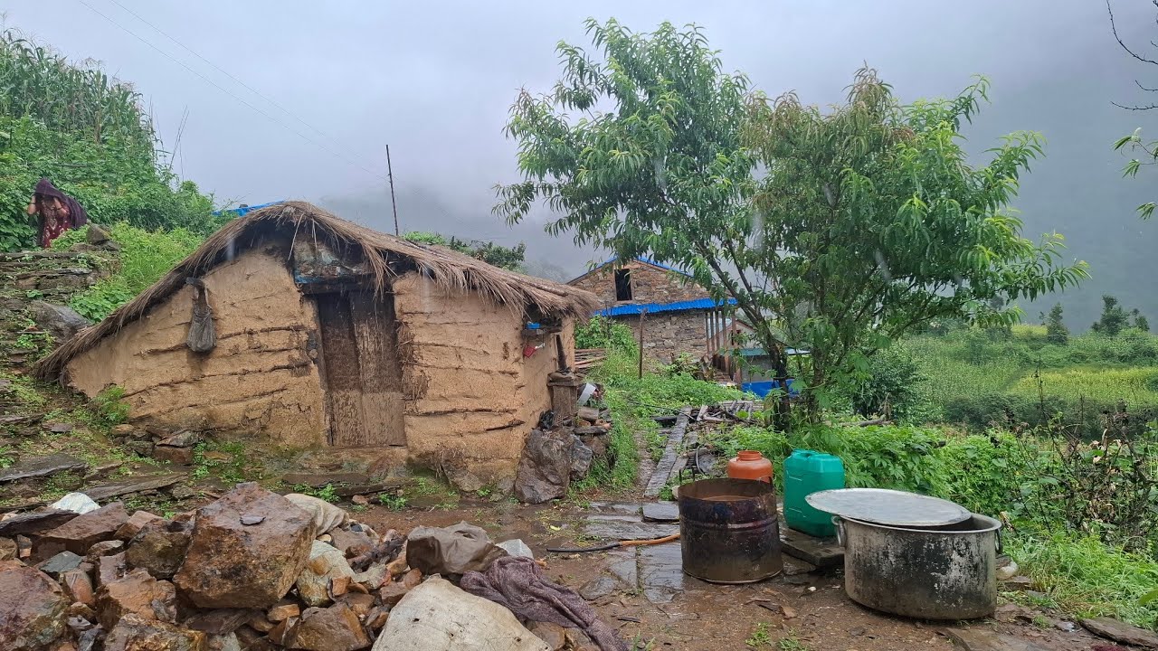 Surviving Life in The Nepali Village During The Rainy | Rura Village Activities | Living with Nature