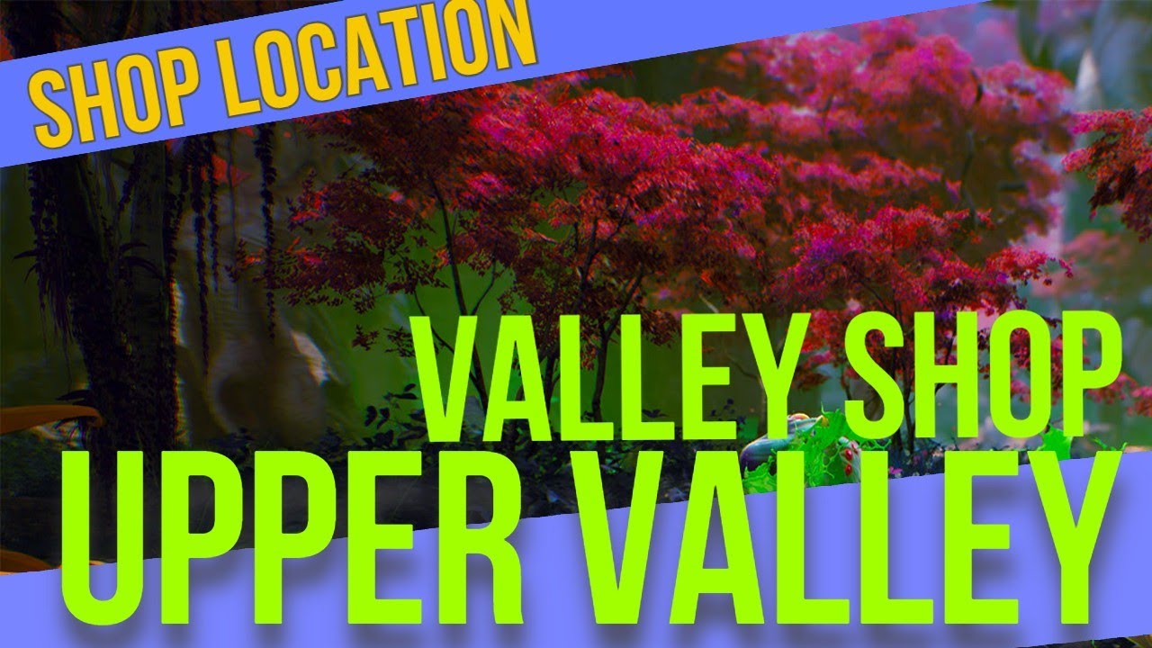 High On Life - Upper Valley, Valley Shop Location