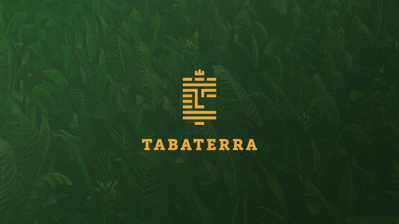 TABATERRA Video Portfolio AZE