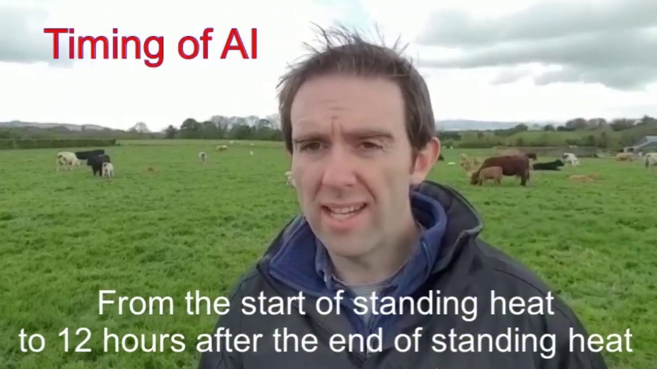 Heat Detection May 2020